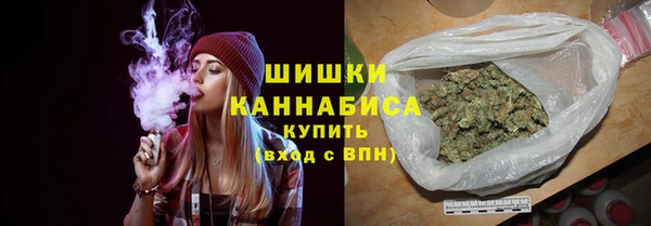 СК Дмитров