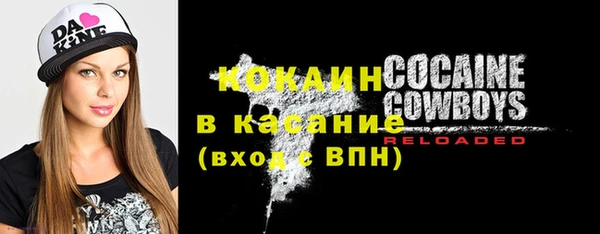 СК Дмитров