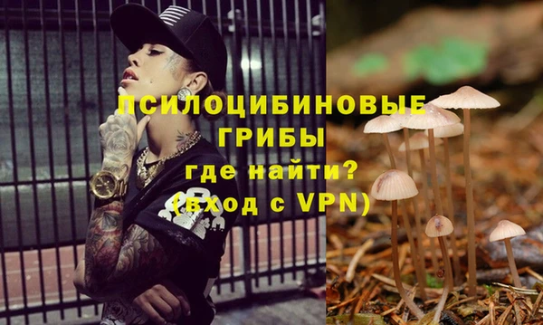 СК Дмитров