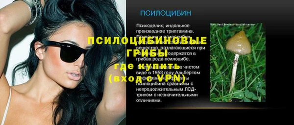 СК Дмитров